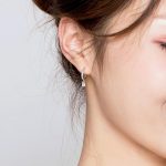 Round Zirconia Dangle Hoop Earrings - Image 5