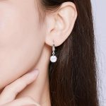 Shining Dangle Drop Earrings - Image 6