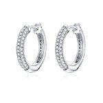 Dazzling Hoop Earrings 2