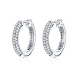 Dazzling Hoop Earrings