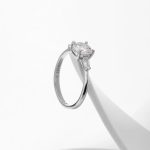 Moissanite Three-Stone Halo Ring - Image 5